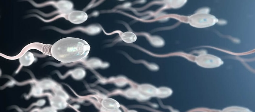 can-testosterone-therapy-boost-sperm-production