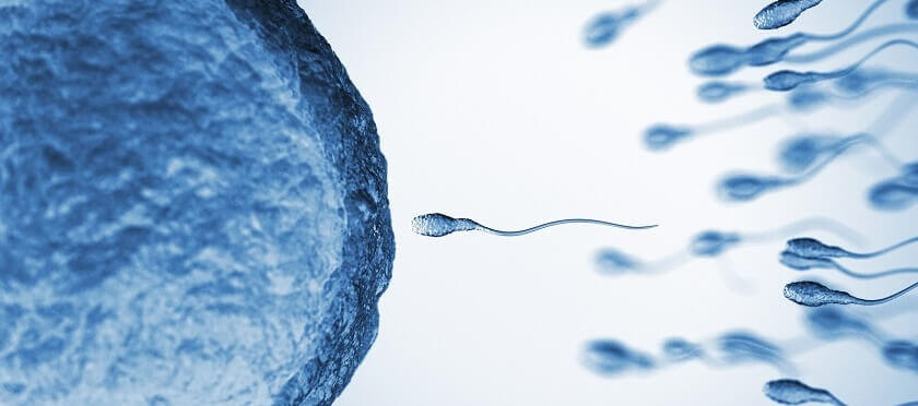 link-between-testosterone-and-sperm-count