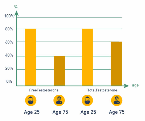 Testosterone Levels in Men by Age (chart)
