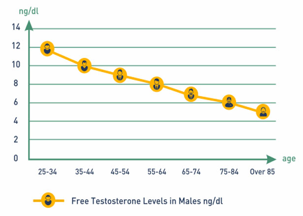 What is free testosterone levels in males