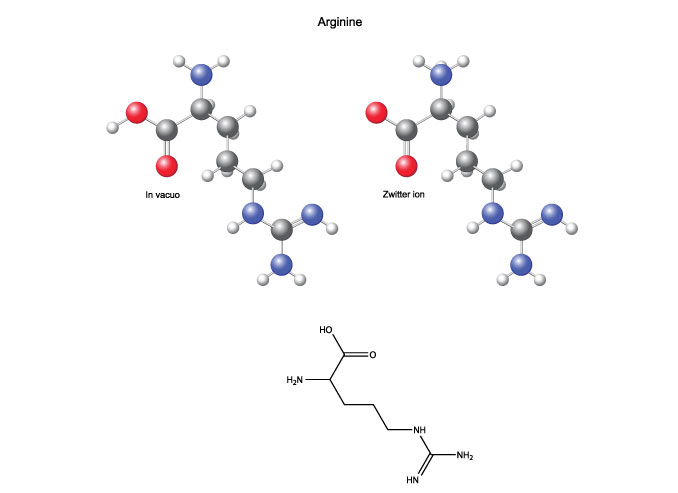 Arginine Amino Acid