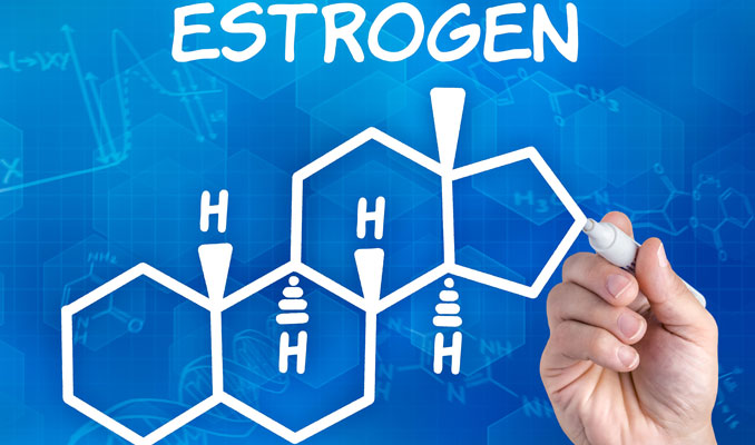 Estrogen Therapy