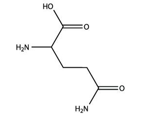 Glutamine Amino Acid
