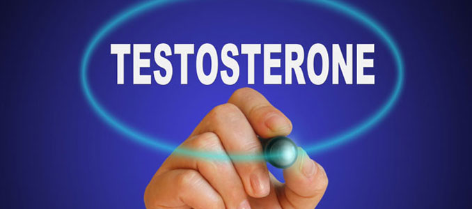 Testosterone